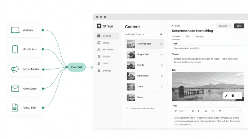 Headless CMS Visualisierung